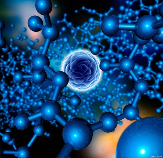 高品质生物活性肽精准制备研究与应用